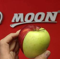 Martin Lukác MOON Reklamné štúdio
