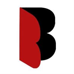 Branex s.r.o. - automatizácia, garážové brány, elektroinštalácie, zámočníctvo.