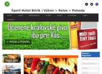 Hotel Borik