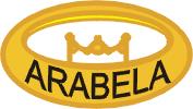 Ing. Robert Kotes ARABELA