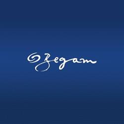 BEGAM