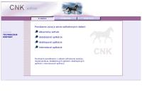 Ing. Ján Cernicka - CNK