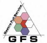 GFS s.r.o.