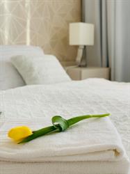 Hotel Artin
