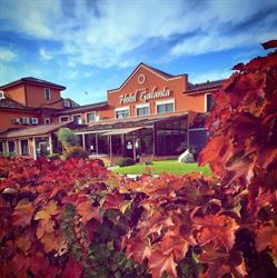 Hotel Galanta