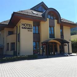 Hotel Gavurky
