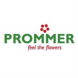 Ján Prommer KVETY PROMMER