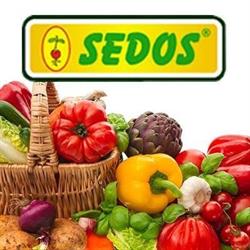 Sedos S.r.o.