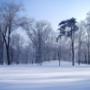 Zimná rozprávka / winter fairy tale\\\\\\\\\\\\\\\\\\\\\\\\\\\\\\\\\\\\\\\\\\\\\\\\\\\\\\\\\\\\\\\\\\\\\\\\\\\\\\\\\\\\\\\\\\\\\\\\\\\\\\\\\\\\\\\\\\\\\\\\\\\\\\\\nPark Hotel Tartuf Beladice / Nitra - skrytý klenot s jedinečnou atmosférou a prostredím pre vašu prácu i oddych. PRECIOUS HIDDEN JEWEL WHOSE UNIQUE ATMOSPHERE WILL ALLOW YOU TO WORK AND RELAX.