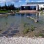 Wellness centrum s jazierkom / with pond\\\\\\\\\\\\\\\\\\\\\\\\\\\\\\\\\\\\\\\\\\\\\\\\\\\\\\\\\\\\\\\\\\\\\\\\\\\\\\\\\\\\\\\\\\\\\\\\\\\\\\\\\\\\\\\\\\\\\\\\\\\\\\\\nPark Hotel Tartuf Beladice / Nitra - skrytý klenot s jedinečnou atmosférou a prostredím pre vašu prácu i oddych. PRECIOUS HIDDEN JEWEL WHOSE UNIQUE ATMOSPHERE WILL ALLOW YOU TO WORK AND RELAX.