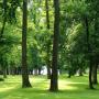 Anglický tichý park / monumental quiet park\\\\\\\\\\\\\\\\\\\\\\\\\\\\\\\\\\\\\\\\\\\\\\\\\\\\\\\\\\\\\\\\\\\\\\\\\\\\\\\\\\\\\\\\\\\\\\\\\\\\\\\\\\\\\\\\\\\\\\\\\\\\\\\\nPark Hotel Tartuf Beladice / Nitra - skrytý klenot s jedinečnou atmosférou a prostredím pre vašu prácu i oddych. PRECIOUS HIDDEN JEWEL WHOSE UNIQUE ATMOSPHERE WILL ALLOW YOU TO WORK AND RELAX.