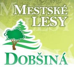 Mestské Lesy Dobšiná, Spol. S R.o.