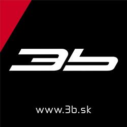3b
