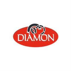DIAMON s.r.o.