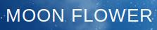 Jana Kintlerová MOON FLOWER