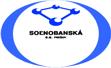 Soľnobanská a.s.