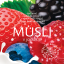Musli