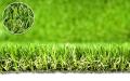 Green Meadow,zahradictvo