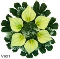 Vence Jakab-Veniec plast V621