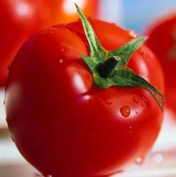 Pomodoro Rosso