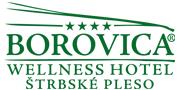 Wellness Hotel Borovica ****