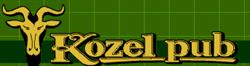 Kozel Pub Martin