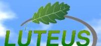 Luteus