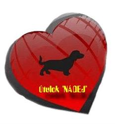Útulok NÁDEJ