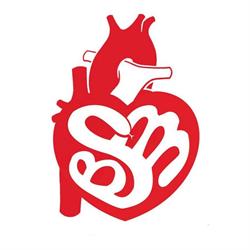 BSM Bratislavský Spolok Medikov