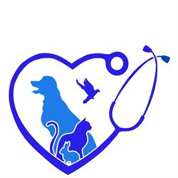 Veterinárna ambulancia Galvet