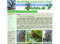 Webová stránka Sagarmatha