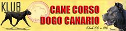 Klub Cane Corso a Dogo Canario