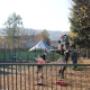 British International School, Bratislava - Primary playground