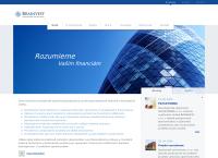 BRAINVEST| finance | assets | investments