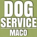 Výcvik psov Dog service-Maco