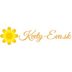 KVETY EVA
