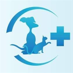 Amis - Veterinárna klinika - MVDr. Róbert Furenda