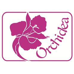 Miroslav Čakloš - ORCHIDEA