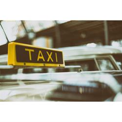 Štefánia Hajčunová T - Autopožičovňa