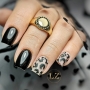 black animal