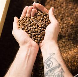 Aurelica coffee