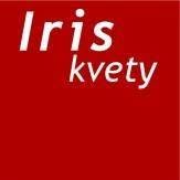 IRIS kvety