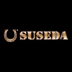 Reštaurácia U SUSEDA Prešov