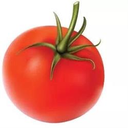 Pomodoro PIZZA