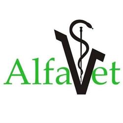 AlfaVet
