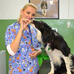 Gálová Jana MVDr., PhD. - G-VET veterinárna ambulancia