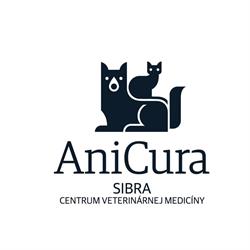 Sibra centrum