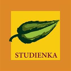 Senior klub STUDIENKA, o. z.