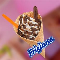 Frisiana SK, s.r.o.