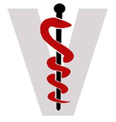 Veterinárna ambulancia Tierärztin Katarína Michlíková